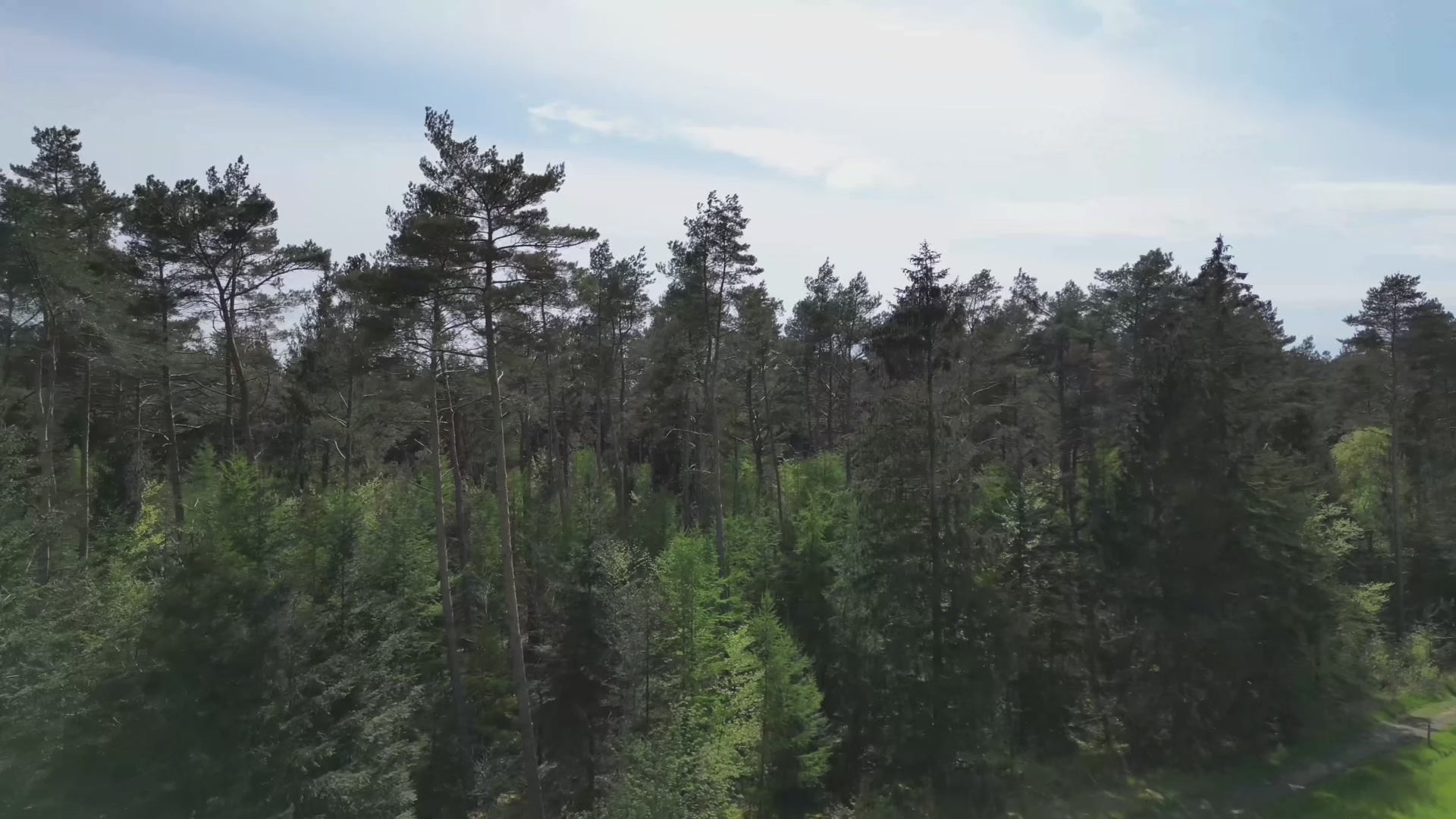 Video laden: 